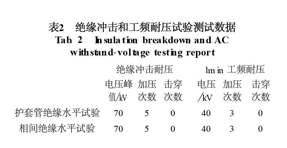 表2 絕緣沖擊和工頻耐壓試驗(yàn)測試數(shù)據(jù)
